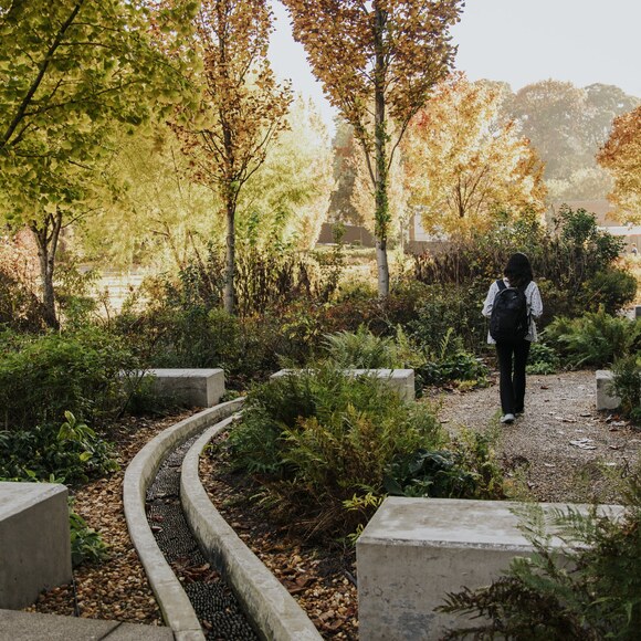 RUNNELS + WALKING PATHS